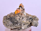 3.9cms RARE WULFENITE Mini Crystals Alamo Arizona usa Y91
