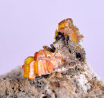 3.9cms RARE WULFENITE Mini Crystals Alamo Arizona usa Y91