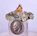 3.9cms RARE WULFENITE Mini Crystals Alamo Arizona usa Y91