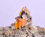 3.9cms RARE WULFENITE Mini Crystals Alamo Arizona usa Y91