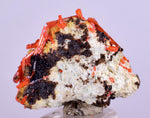 2.3cms GEM RED CROCOITE Gibbsite Crystal Cluster Matrix Adelaide Mine Australia Mineral Specimen Z33