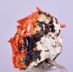 2.3cms GEM RED CROCOITE Gibbsite Crystal Cluster Matrix Adelaide Mine Australia Mineral Specimen Z33
