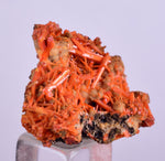 2.5cms GEM RED CROCOITE Crystal Cluster Matrix Adelaide Mine Australia Mineral Specimen Z34