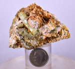 5.5cms YELLOW APATITE CRYSTALS Imichil Morocco Mineral Specimen A636