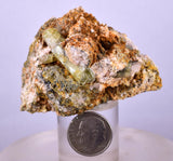 5.5cms YELLOW APATITE CRYSTALS Imichil Morocco Mineral Specimen A636