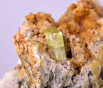 5.5cms YELLOW APATITE CRYSTALS Imichil Morocco Mineral Specimen A637