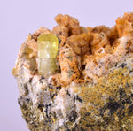 5.5cms YELLOW APATITE CRYSTALS Imichil Morocco Mineral Specimen A637