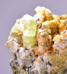5.5cms YELLOW APATITE CRYSTALS Imichil Morocco Mineral Specimen A637