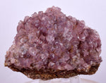 6cms COBALTOAN CALCITE SHINY Crystals Morocco Mineral Specimmen G283