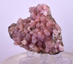 6.5cms COBALTOAN CALCITE SHINY Crystals Morocco Mineral Specimmen G284