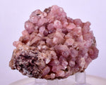 6.5cms COBALTOAN CALCITE SHINY Crystals Morocco Mineral Specimmen G284