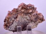 6.5cms COBALTOAN CALCITE SHINY Crystals Morocco Mineral Specimmen G284