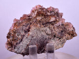 6.5cms COBALTOAN CALCITE SHINY Crystals Morocco Mineral Specimmen G284
