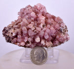 6.5cms COBALTOAN CALCITE SHINY Crystals Morocco Mineral Specimmen G284