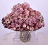 6.5cms COBALTOAN CALCITE SHINY Crystals Morocco Mineral Specimmen G284