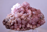 6.5cms COBALTOAN CALCITE SHINY Crystals Morocco Mineral Specimmen G284