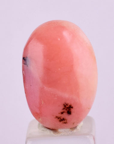 8.5cts PINK OPAL CABOCHON Landscape Jewelry Pendant Coral Color B124