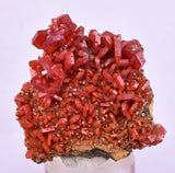 4.5cms VANADINITE CRYSTAL Mibladen Morocco Mineral Specimen W54