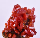 4.2cms VANADINITE CRYSTAL Mibladen Morocco Mineral Specimen W55