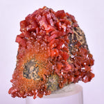 5.1cms VANADINITE CRYSTAL Mibladen Morocco Mineral Specimen W57