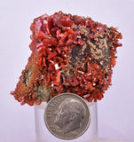 5.1cms VANADINITE CRYSTAL Mibladen Morocco Mineral Specimen W57