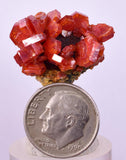 2.3cms VANADINITE CRYSTAL Mibladen Morocco Mineral Specimen W59