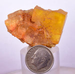 3.9cms GEM YELLOW FLUORITE Shiny Crystal Ahouli Morocco Mineral Specimen K96