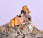 3.9cms RARE WULFENITE Mini Crystals Alamo Arizona usa Y91