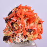 2.3cms GEM RED CROCOITE Gibbsite Crystal Cluster Matrix Adelaide Mine Australia Mineral Specimen Z33