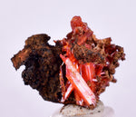 2.2cms GEM RED CROCOITE Crystal Cluster Matrix Adelaide Mine Australia Mineral Specimen Z37