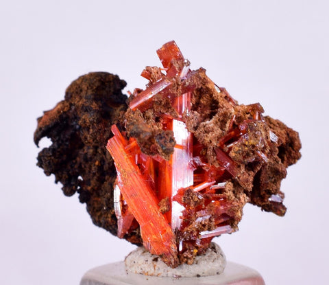 2.2cms GEM RED CROCOITE Crystal Cluster Matrix Adelaide Mine Australia Mineral Specimen Z37