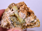 5.5cms YELLOW APATITE CRYSTALS Imichil Morocco Mineral Specimen A636
