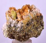 5.5cms YELLOW APATITE CRYSTALS Imichil Morocco Mineral Specimen A637