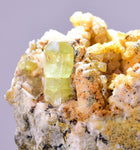 5.5cms YELLOW APATITE CRYSTALS Imichil Morocco Mineral Specimen A637