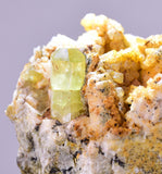 5.5cms YELLOW APATITE CRYSTALS Imichil Morocco Mineral Specimen A637