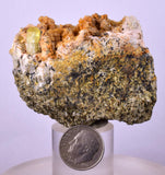 5.5cms YELLOW APATITE CRYSTALS Imichil Morocco Mineral Specimen A637