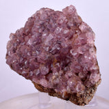 6cms COBALTOAN CALCITE SHINY Crystals Morocco Mineral Specimmen G283