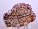 6cms COBALTOAN CALCITE SHINY Crystals Morocco Mineral Specimmen G283