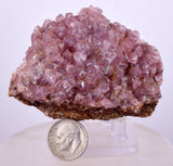 6cms COBALTOAN CALCITE SHINY Crystals Morocco Mineral Specimmen G283