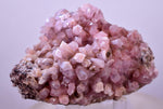 6.5cms COBALTOAN CALCITE SHINY Crystals Morocco Mineral Specimmen G284