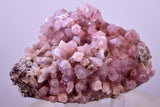 6.5cms COBALTOAN CALCITE SHINY Crystals Morocco Mineral Specimmen G284