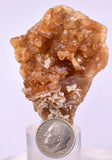 5.6cms CITRINE CRYSTALS MOROCCO Mineral Specimen Collector A640
