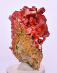 4.2cms VANADINITE CRYSTAL Mibladen Morocco Mineral Specimen W55