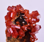 4.2cms VANADINITE CRYSTAL Mibladen Morocco Mineral Specimen W55