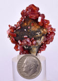 3.4cms VANADINITE CRYSTAL Mibladen Morocco Mineral Specimen W56