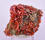 5.1cms VANADINITE CRYSTAL Mibladen Morocco Mineral Specimen W57