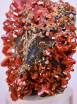 5.1cms VANADINITE CRYSTAL Mibladen Morocco Mineral Specimen W57