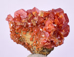 2.3cms VANADINITE CRYSTAL Mibladen Morocco Mineral Specimen W59