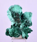 2.8cms MALACHITE CRYSTALS CONGO Mindingi Mine Super Shiny Mineral Specimen U613
