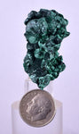 3.7cms MALACHITE CRYSTALS CONGO Mindingi Mine Super Shiny Mineral Specimen U614